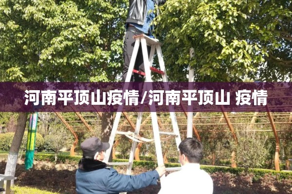 河南平顶山疫情/河南平顶山 疫情 河南平顶山疫情/河南平顶山 疫情