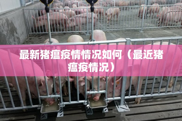 最新猪瘟疫情情况如何（最近猪瘟疫情况）