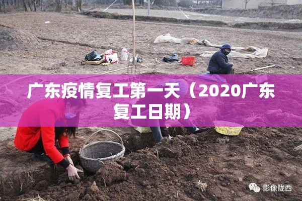 广东疫情复工第一天（2020广东复工日期）