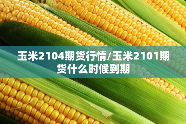 玉米2104期货行情/玉米2101期货什么时候到期