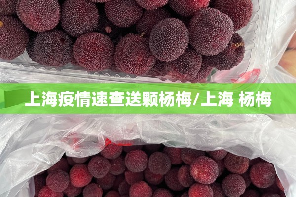 上海疫情速查送颗杨梅/上海 杨梅