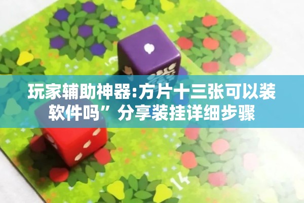玩家辅助神器:方片十三张可以装软件吗	”分享装挂详细步骤