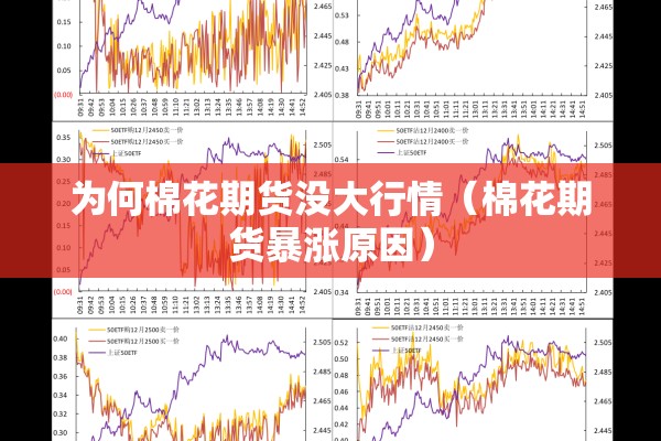 为何棉花期货没大行情（棉花期货暴涨原因）