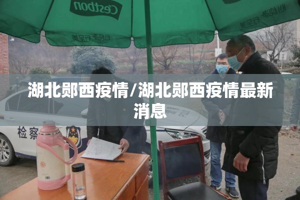 湖北郧西疫情/湖北郧西疫情最新消息