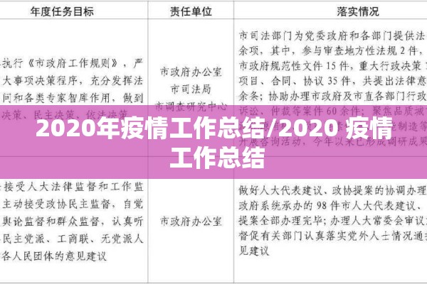 2020年疫情工作总结/2020 疫情 工作总结