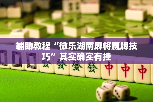 辅助教程“微乐湖南麻将赢牌技巧”其实确实有挂
