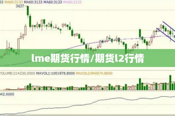 lme期货行情/期货l2行情 lme期货行情/期货l2行情