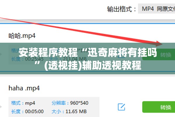 安装程序教程“迅奇麻将有挂吗”(透视挂)辅助透视教程