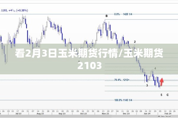 看2月3日玉米期货行情/玉米期货2103