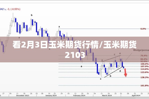 看2月3日玉米期货行情/玉米期货2103