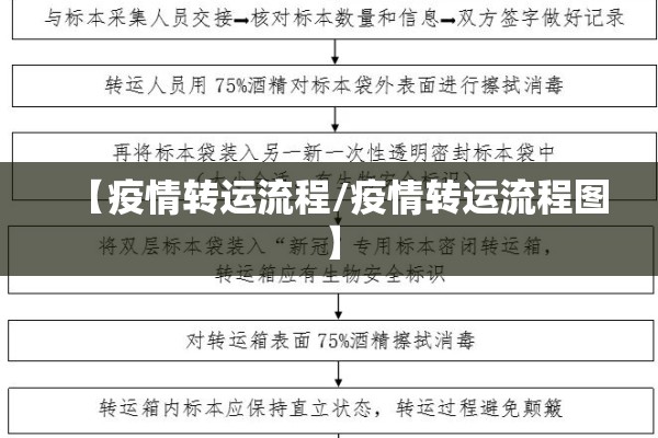【疫情转运流程/疫情转运流程图】 【疫情转运流程/疫情转运流程图】