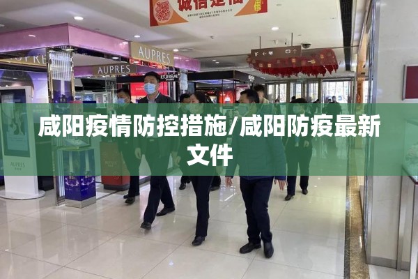咸阳疫情防控措施/咸阳防疫最新文件