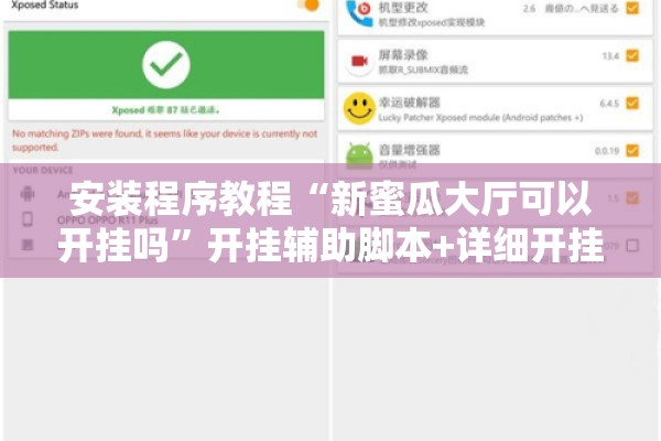 安装程序教程“新蜜瓜大厅可以开挂吗”开挂辅助脚本+详细开挂安装教程