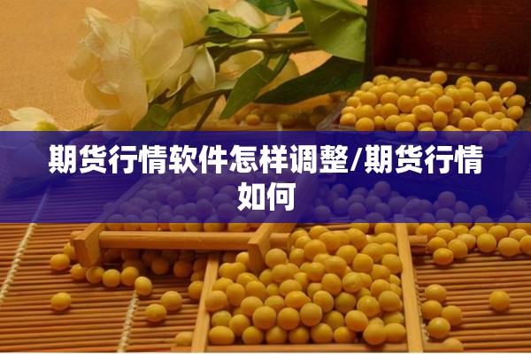 期货行情软件怎样调整/期货行情如何