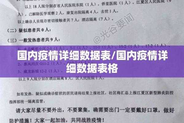 国内疫情详细数据表/国内疫情详细数据表格
