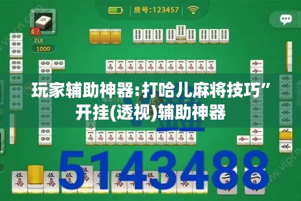 玩家辅助神器:打哈儿麻将技巧	”开挂(透视)辅助神器