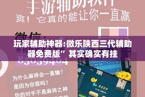 玩家辅助神器:微乐陕西三代辅助器免费版	”其实确实有挂