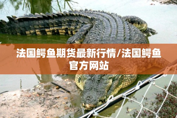 法国鳄鱼期货最新行情/法国鳄鱼官方网站 法国鳄鱼期货最新行情/法国鳄鱼官方网站