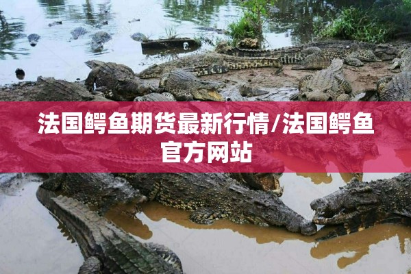 法国鳄鱼期货最新行情/法国鳄鱼官方网站 法国鳄鱼期货最新行情/法国鳄鱼官方网站