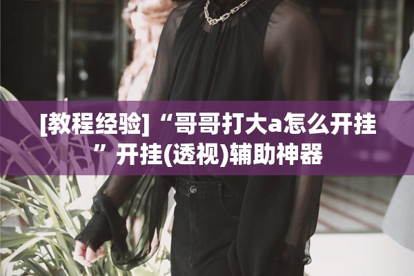 [教程经验]“哥哥打大a怎么开挂”开挂(透视)辅助神器