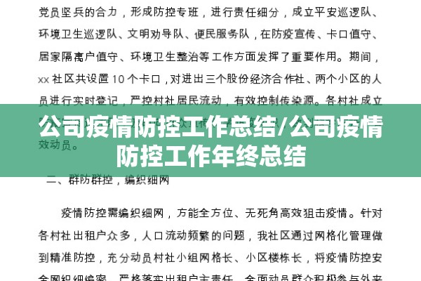 公司疫情防控工作总结/公司疫情防控工作年终总结 公司疫情防控工作总结/公司疫情防控工作年终总结