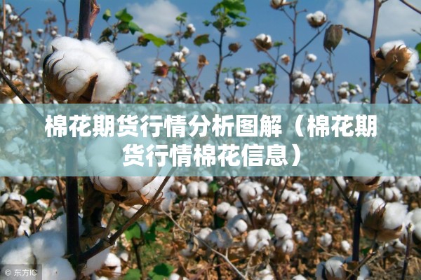 棉花期货行情分析图解(棉花期货行情棉花信息) 棉花期货行情分析图解(棉花期货行情棉花信息)
