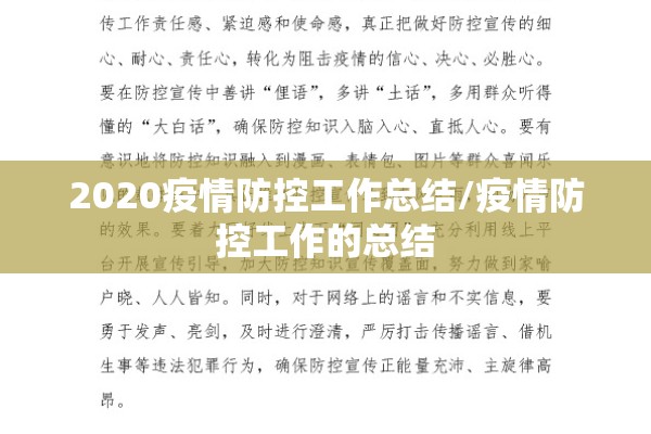 2020疫情防控工作总结/疫情防控工作的总结