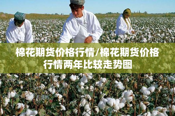 棉花期货价格行情/棉花期货价格行情两年比较走势图