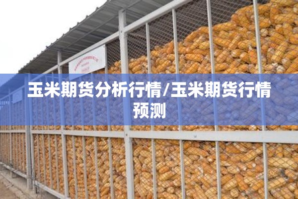 玉米期货分析行情/玉米期货行情预测 玉米期货分析行情/玉米期货行情预测
