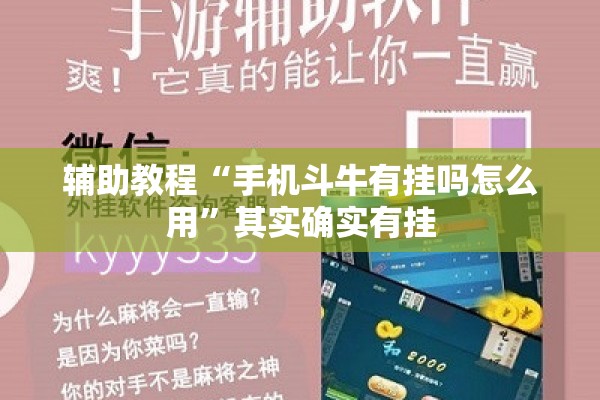 辅助教程“手机斗牛有挂吗怎么用”其实确实有挂