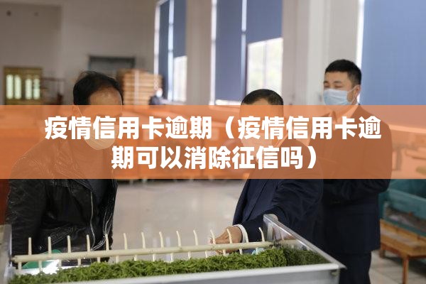 疫情信用卡逾期(疫情信用卡逾期可以消除征信吗) 疫情信用卡逾期(疫情信用卡逾期可以消除征信吗)