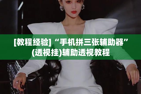 [教程经验]“手机拼三张辅助器”(透视挂)辅助透视教程