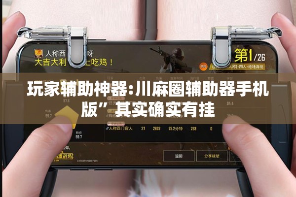 玩家辅助神器:川麻圈辅助器手机版”其实确实有挂