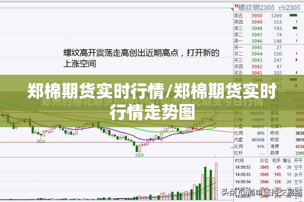郑棉期货实时行情/郑棉期货实时行情走势图