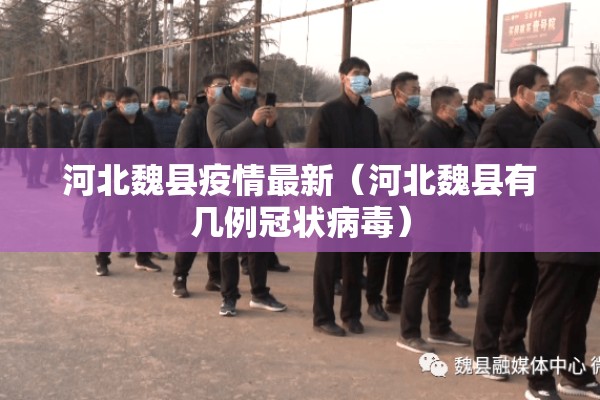 河北魏县疫情最新(河北魏县有几例冠状病毒) 河北魏县疫情最新(河北魏县有几例冠状病毒)