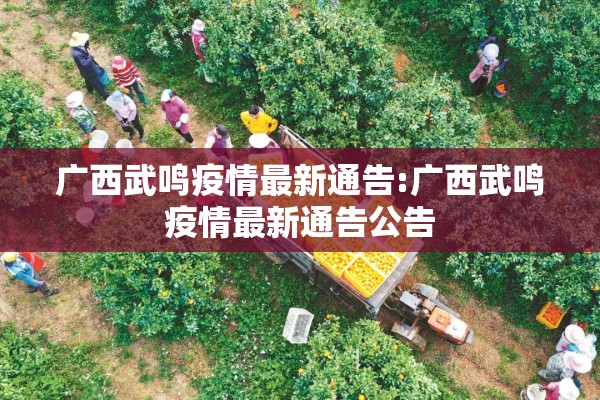 广西武鸣疫情最新通告:广西武鸣疫情最新通告公告