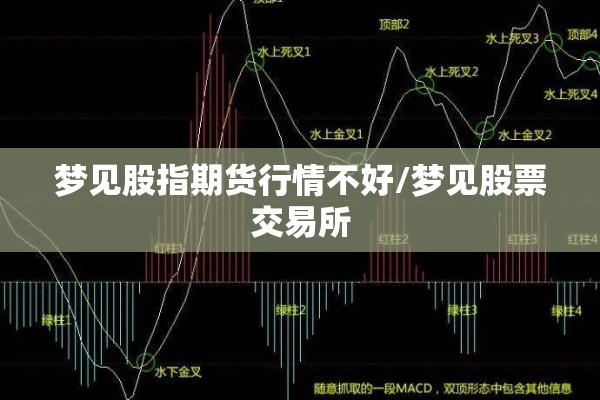 梦见股指期货行情不好/梦见股票交易所