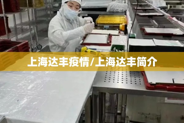 上海达丰疫情/上海达丰简介