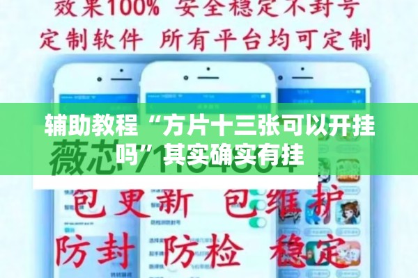 辅助教程“方片十三张可以开挂吗	”其实确实有挂