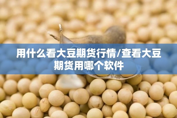 用什么看大豆期货行情/查看大豆期货用哪个软件 用什么看大豆期货行情/查看大豆期货用哪个软件