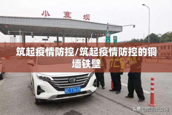 筑起疫情防控/筑起疫情防控的铜墙铁壁