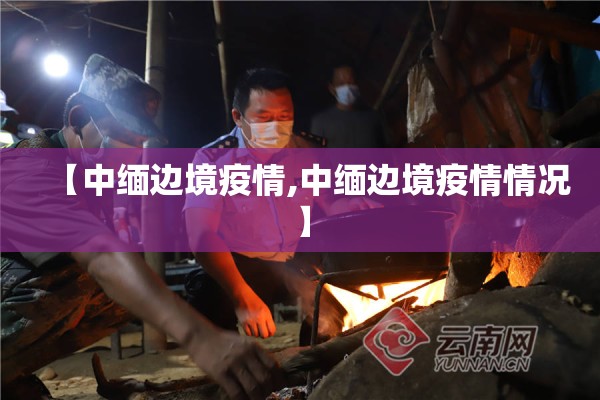 【中缅边境疫情,中缅边境疫情情况】