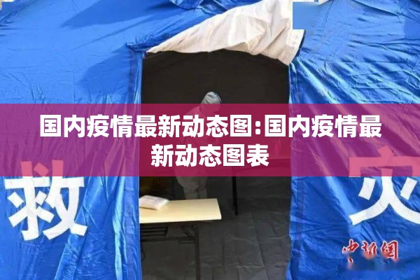 国内疫情最新动态图:国内疫情最新动态图表