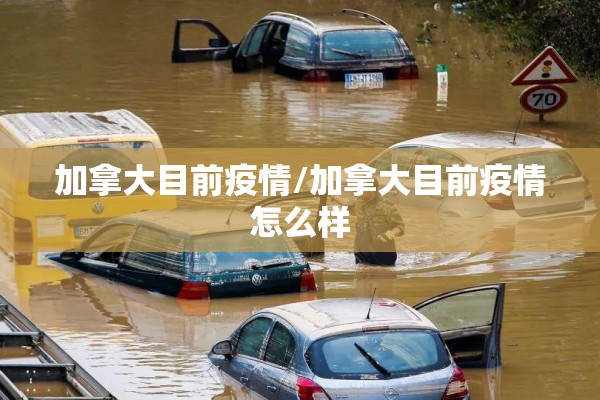 加拿大目前疫情/加拿大目前疫情怎么样