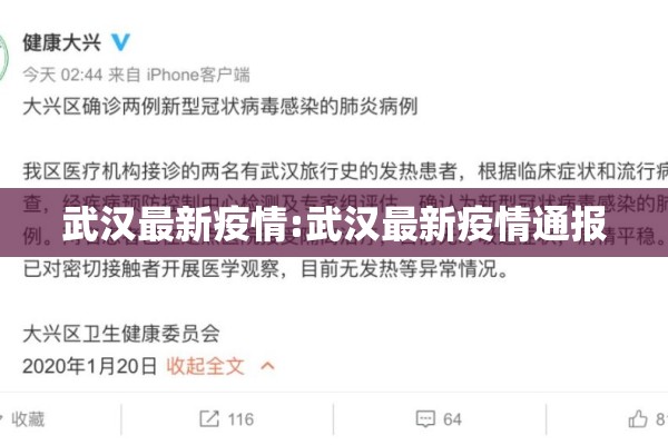 武汉最新疫情:武汉最新疫情通报