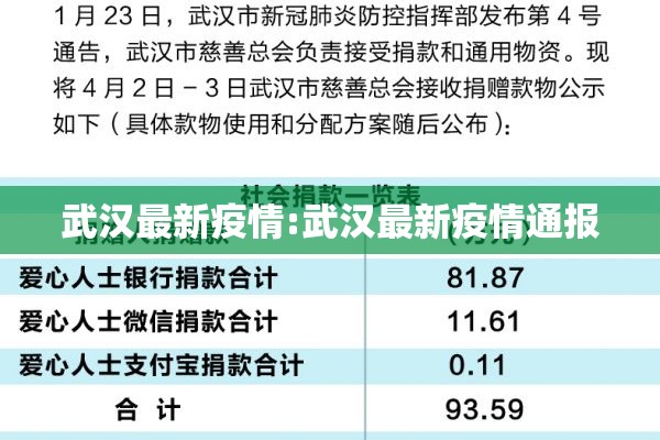 武汉最新疫情:武汉最新疫情通报