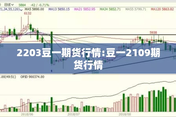 2203豆一期货行情:豆一2109期货行情