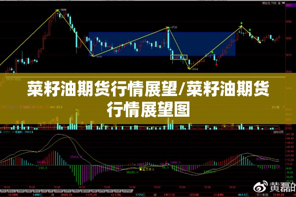 菜籽油期货行情展望/菜籽油期货行情展望图 菜籽油期货行情展望/菜籽油期货行情展望图