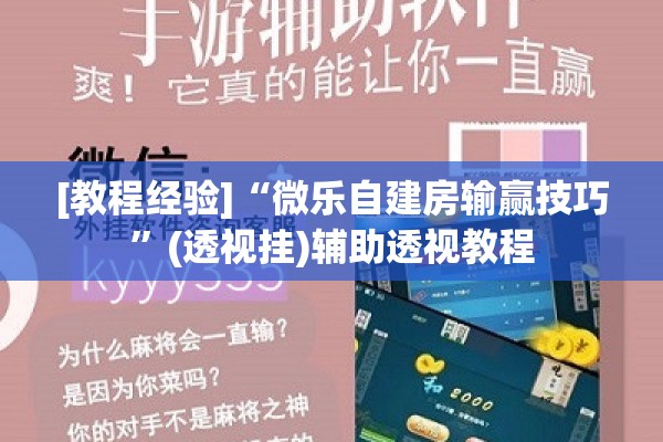 [教程经验]“微乐自建房输赢技巧”(透视挂)辅助透视教程