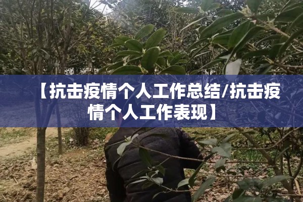 【抗击疫情个人工作总结/抗击疫情个人工作表现】